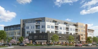 Novel Edgehill Gallery 6