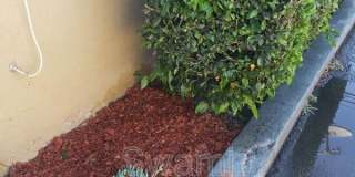 4542 Imperial Hwy. Gallery 16