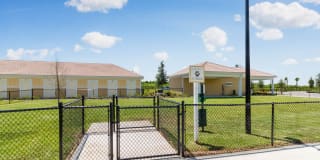 Springs at Tradition Gallery 17