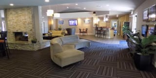 The Palms The Palms Gallery 13