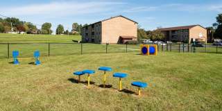 Middletown Valley Gallery 8