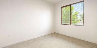 Olympus Alameda Gallery 18