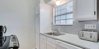 k670 - Buena Vista #306 Gallery 14