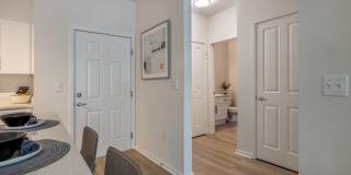 Bella Terra Gallery 16