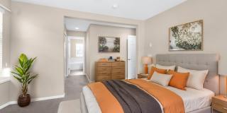 LIGHT AND BRIGHT 3 BED/2.5 BATH HOME IN MONUMENT! Gallery 25