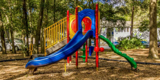 St. Johns Forest Gallery 18