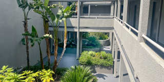 Cambridge Court Apartments Gallery 29