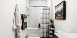 The Steadman Apartments Gallery 14