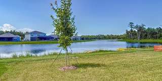 2219 Lake Preserve Circle Gallery 8
