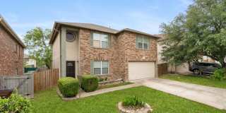 10842 Bentsen Palm Gallery 1