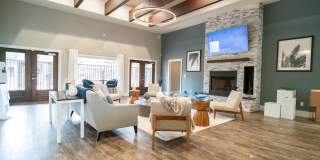 Palmera on 3009 Gallery 19