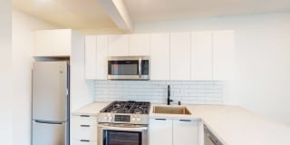 Santa Monica Palms Gallery 10