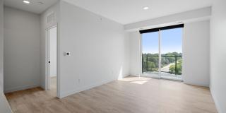 Rosa Gallery 3