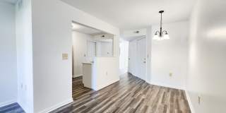 Cameron Creek Gallery 11