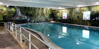 260 Dorchester K Gallery 17