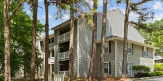 Walker's Ridge Gallery 57