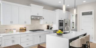 Beautiful 4 Bedroom + Office Home with Open Layout, Gourmet Kitchen & Large Entertainment Room Gallery 6