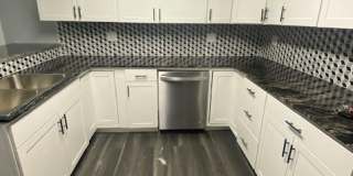 220 Bassett Street Gallery 8