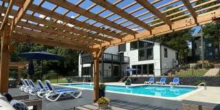 Bloom at Dawson Gallery 1