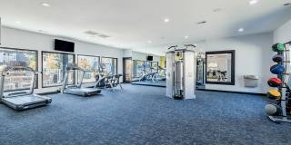 The Jaxon Gallery 15