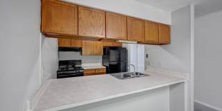 The Villas & St. Andrews at Little Turtle Gallery 4