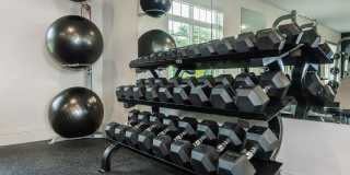 West Shire Village Gallery 30