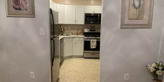 227 Lindsey Ct Gallery 59