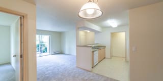 Palermo at Lakeland Gallery 24