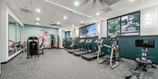 The Felix Gallery 20