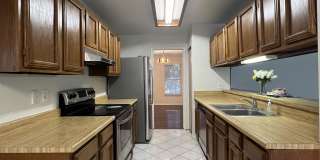 9123 Alpine Trail Street Gallery 29