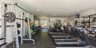 Mount Vernon Gallery 32