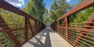 Camber Ranch Gallery 27
