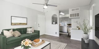 Palomar West Gallery 1