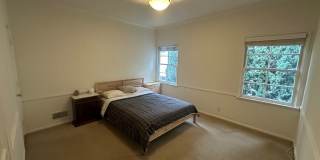 9074 Whitworth Drive Gallery 11