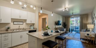 Evolution at Estrella Falls Gallery 1