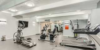 The Paramount Gallery 7