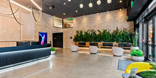 Society Atlanta Gallery 3