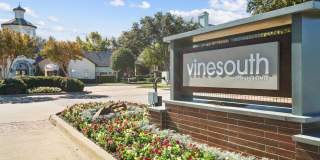 Vine South Gallery 37