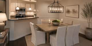 Gorgeous  Forest View, Wood Floors  1/1 condo for RENT @The Crest close to UCF. Gallery 6