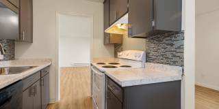 Fiesta Manor Gallery 31