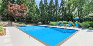 Laurel Ridge Apartments Gallery 80