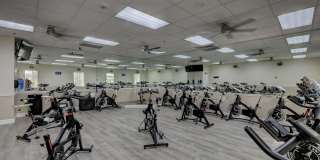 51 Tilford C Gallery 32