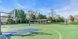 108 Neptune Place Gallery 50