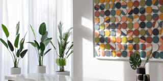 The Boulevard Gallery 36