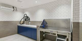 Link Apartments H Street Gallery 32