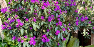 3012 GRAND VIEW AVENUE Gallery 38