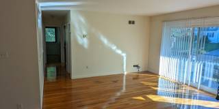 202 Central Gallery 1