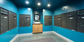 The Wilson Gallery 13