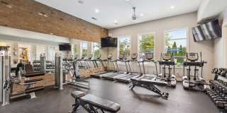 Trotters Park Gallery 9