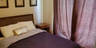 Fully Furnished!! Snowbird and builder Special! Flexible lease options available. Gallery 11